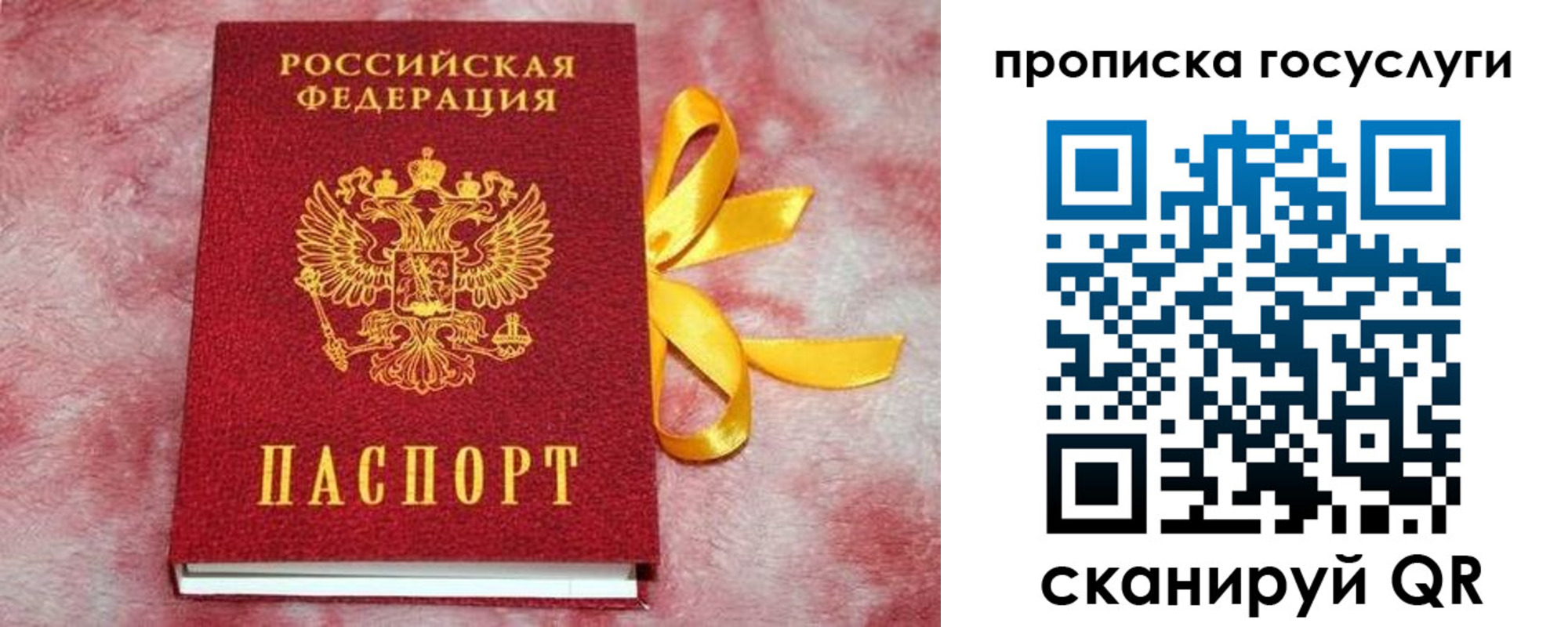 прописка законно в Сосновке